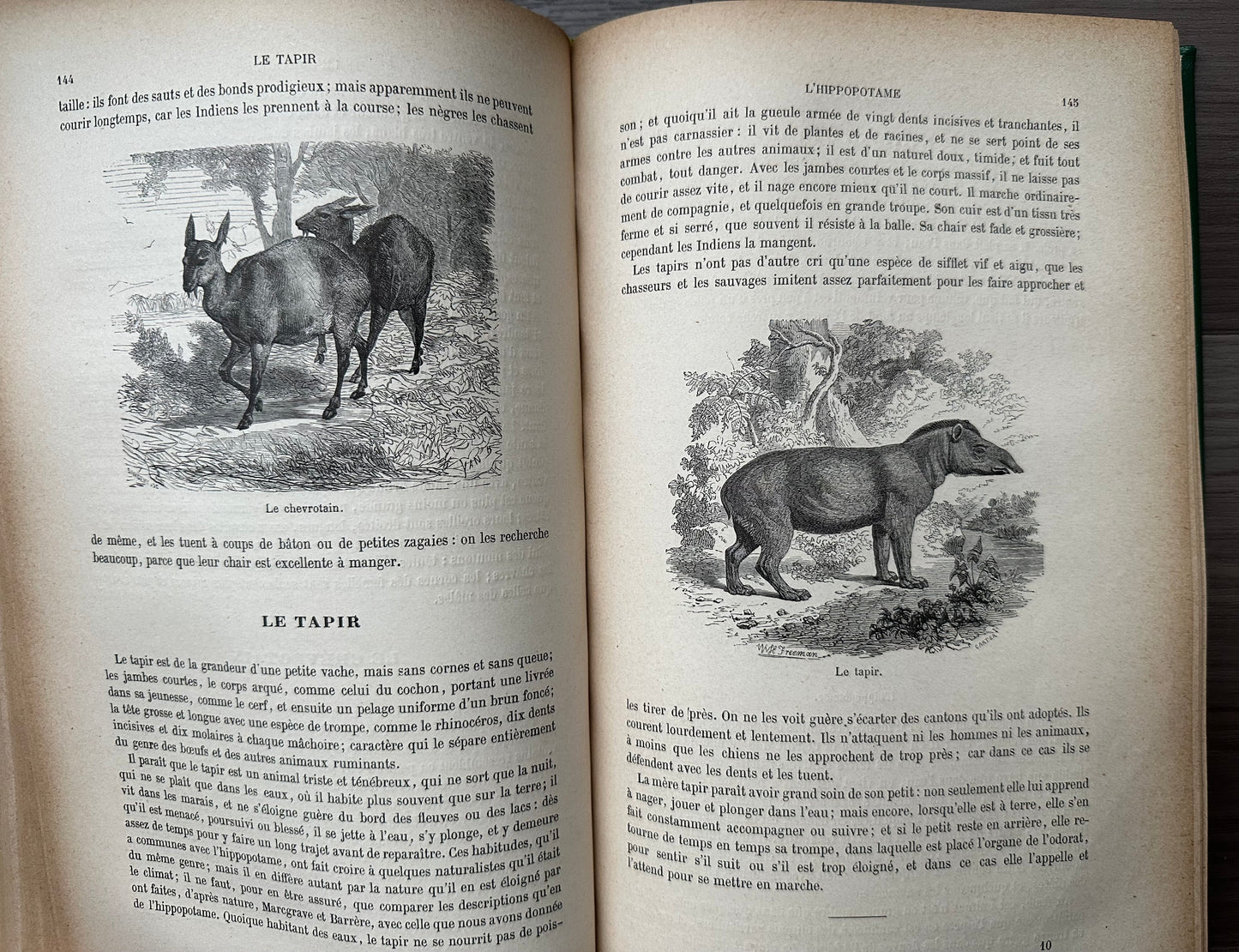 1883 Natural History by Buffon