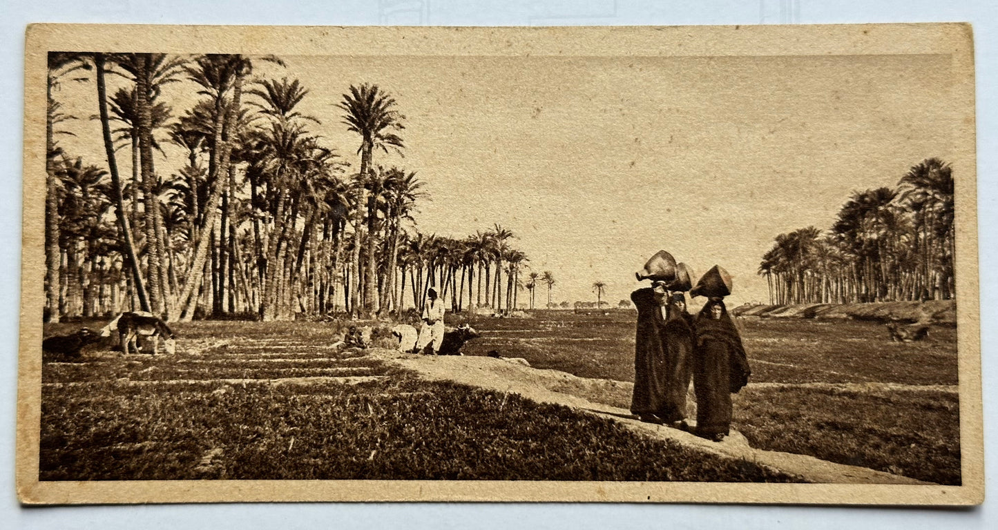 20th Century French Postcards of Egypt