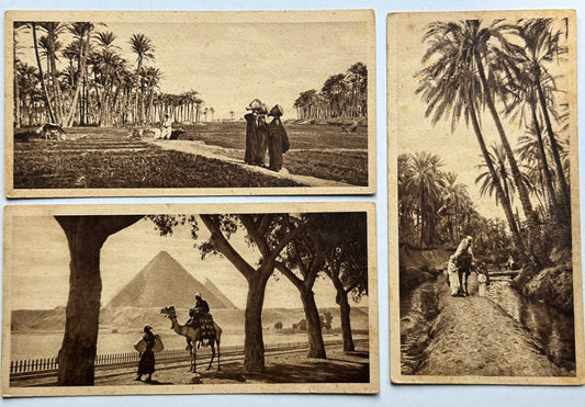 20th Century French Postcards of Egypt