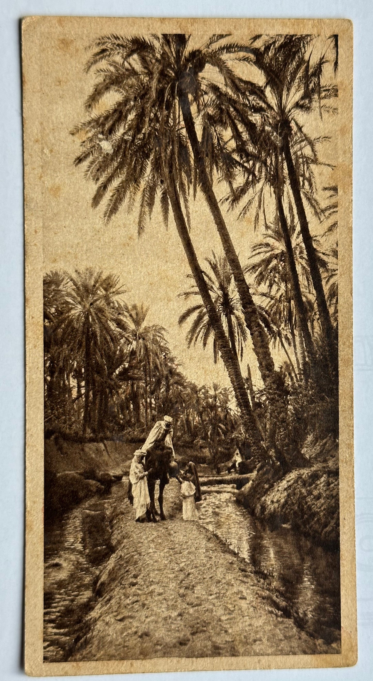 20th Century French Postcards of Egypt