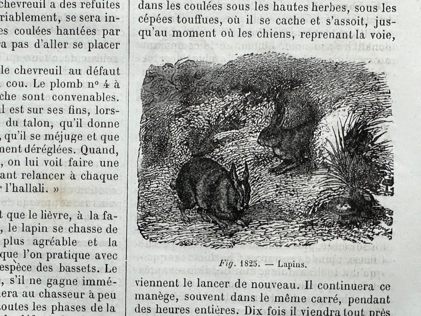 Le Livre de la Ferme: Hunting Scene