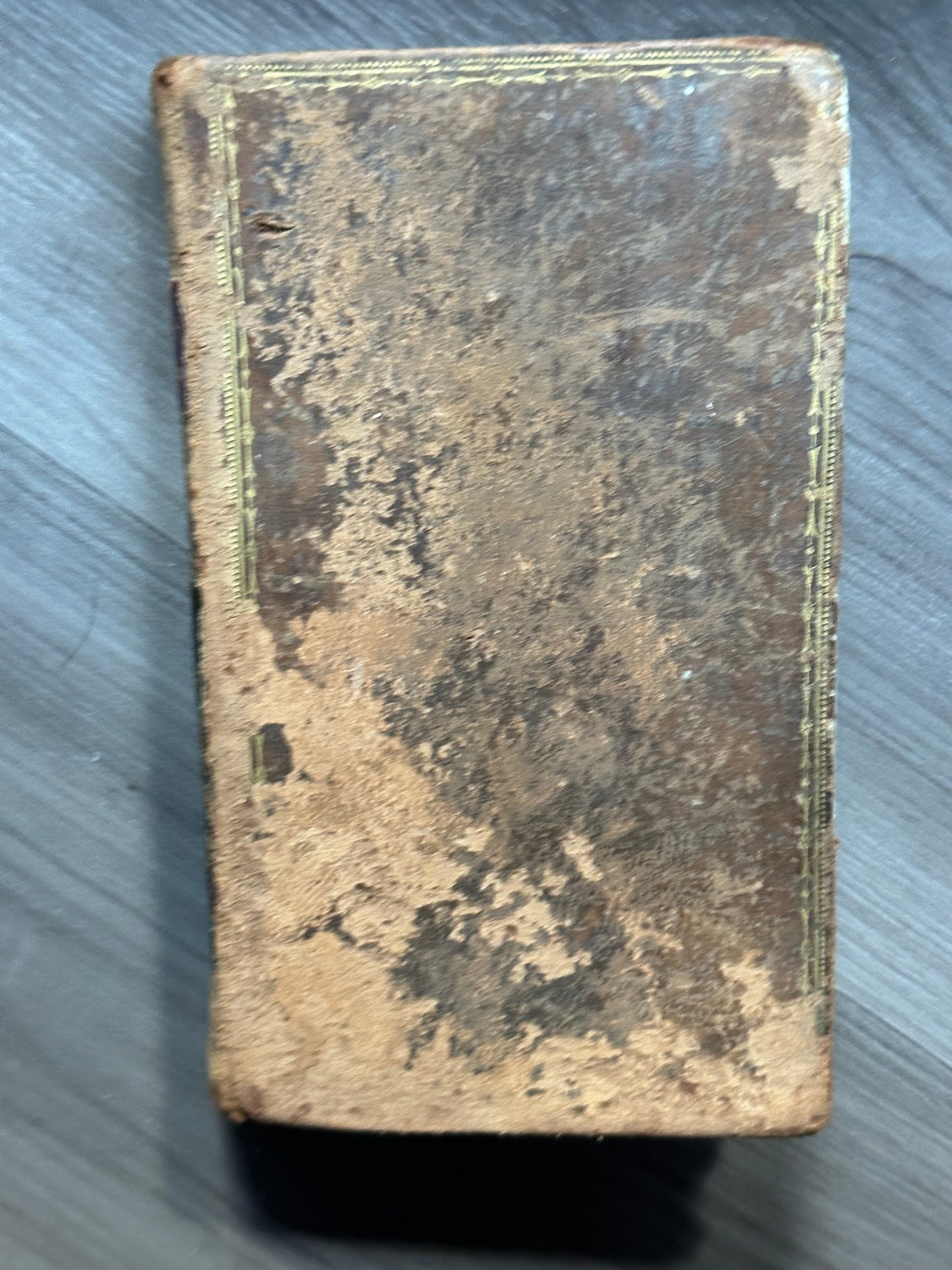 1824 Rousseau Book